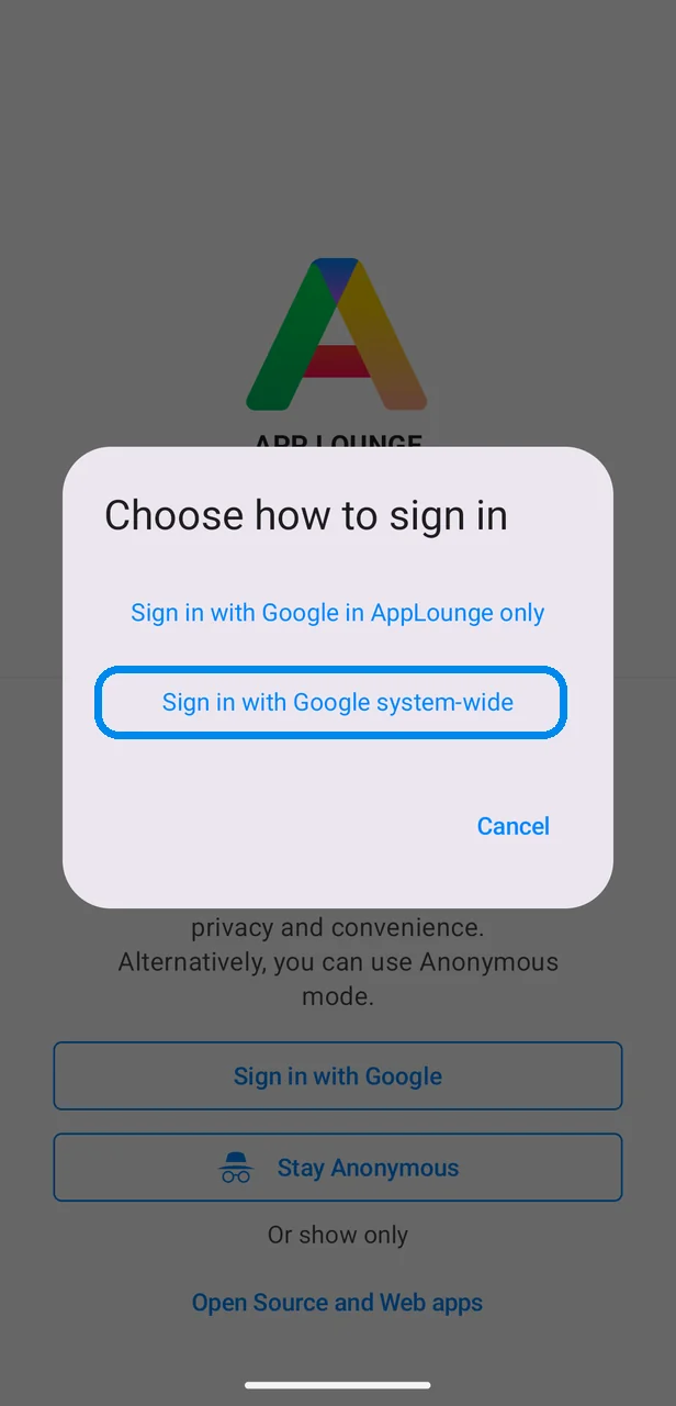Choosing the Google system-wide sign-in in App Lounge